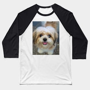 LOVE DOGS Baseball T-Shirt